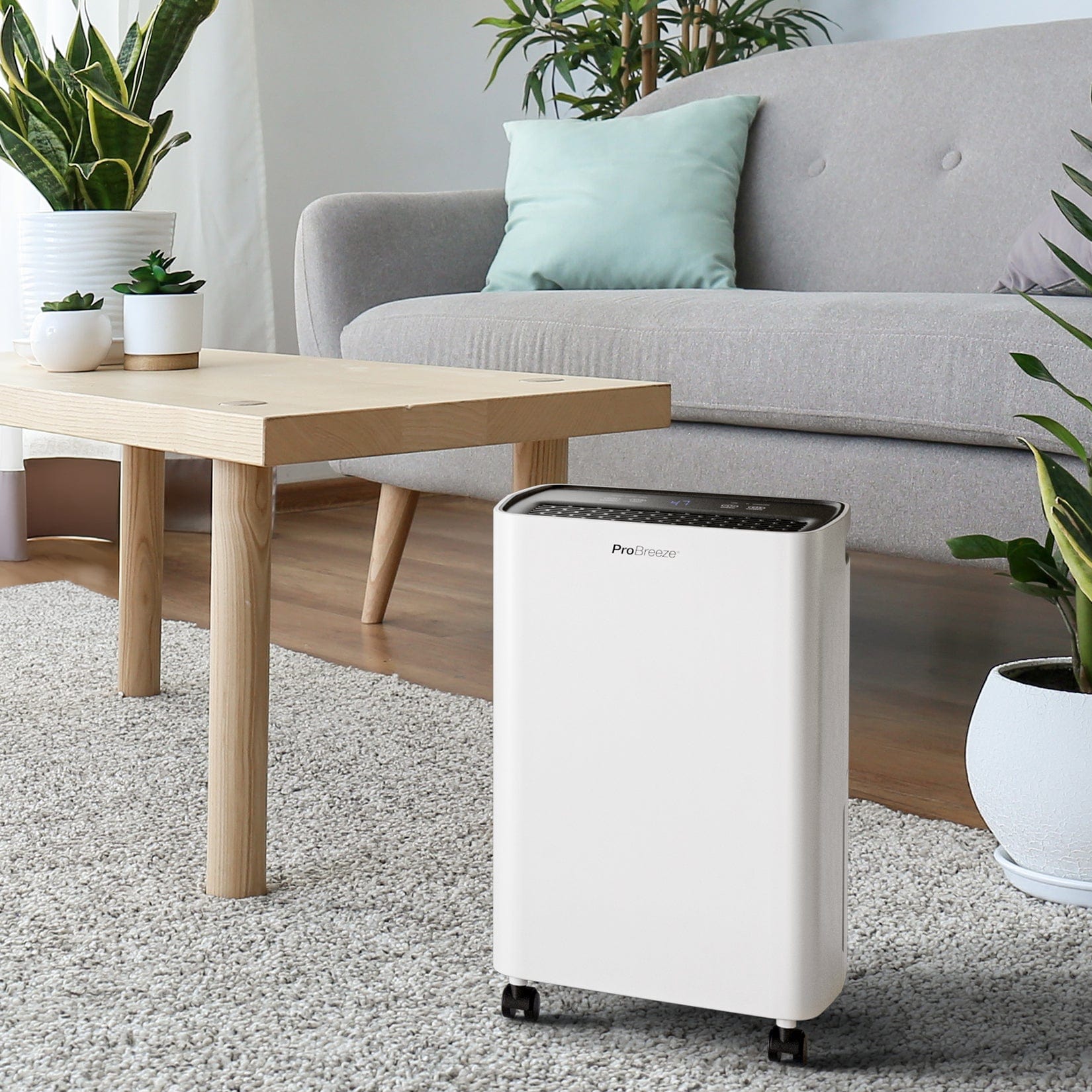 Refurbished - 12L Compact Dehumidifier